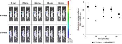 Development of 18F-Labeled Resazurin Derivatives for the Detection of Tumor Metabolic Activity Using Cerenkov Imaging